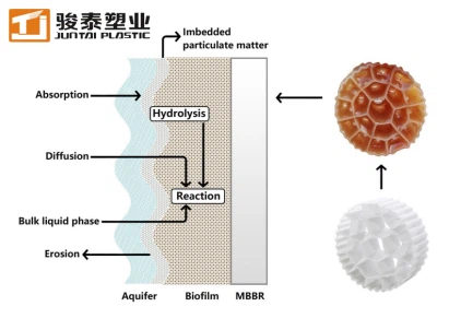 aquaifer biofilm mbbr bulk lquid phase aquaifer biofilm mbbr bulk lquid phase