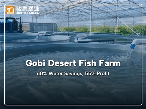 Biofiltrasi MBBR Mendukung RAS Gurun: Keuntungan 82.600 RMB dan Penghematan A...